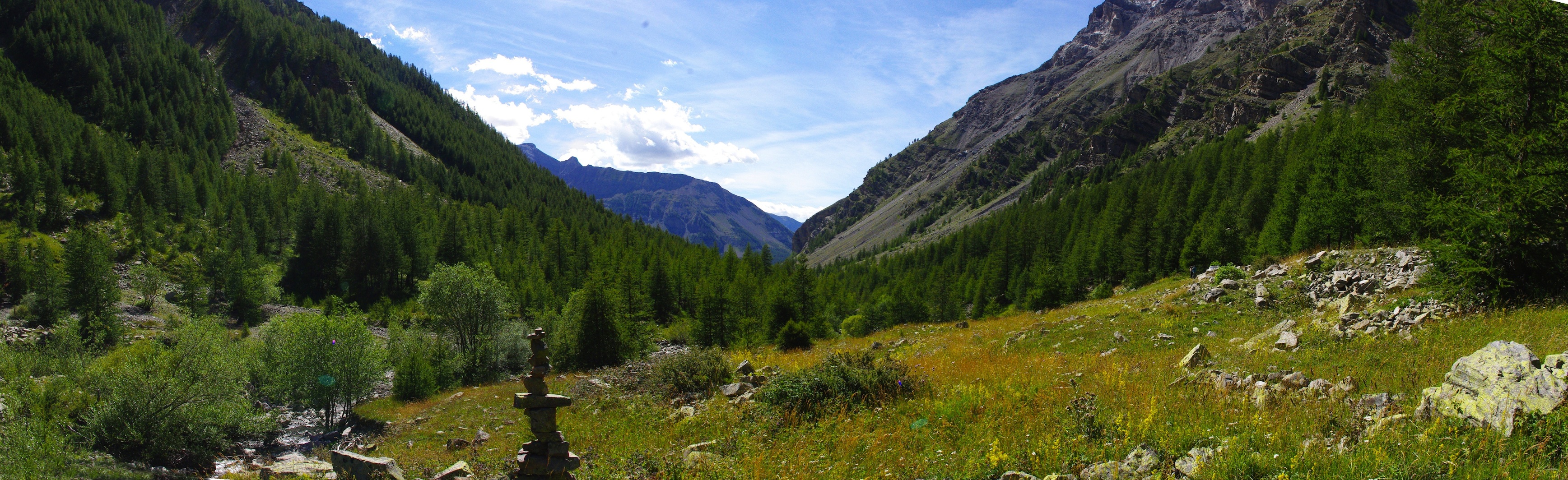Vallon de la Moutière Vallon de la Moutière